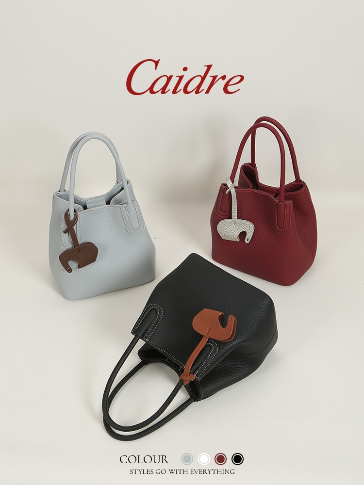 Caidre 高級トートバッグ 2026 新スタイル通勤ショ - Luxury Bags Korea のレビューと価格